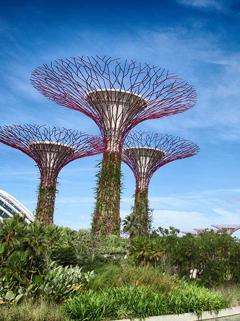 Singapore Tour Packages